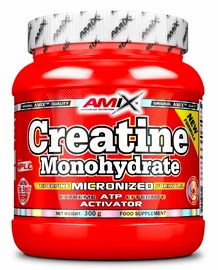 Amix Nutrition Creatine Monohydrate 300 g
