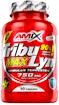Amix Nutrition TribuLyn Max 90% 90 kapslí
