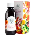 Bilegria Bylinný sirup INUMA 200 ml