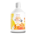 Czech Virus Supervita Pro V2.0 500 ml zázvor