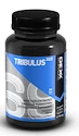 DEX Nutrition Tribulus X60 60 kapslí