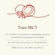 EXP Ancient+Brave True MCT Box 15×10 g