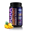 Fitco BCAA Power Punch 700 g