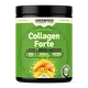 GreenFood Performance Pre-Workout 495 g mango
