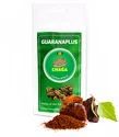 GuaranaPlus Chaga 100 kapslí