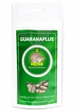 GuaranaPlus Hlíva Ústřičná 100 kapslí