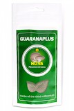 GuaranaPlus Hlíva ústřičná prášek 75 g