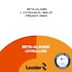 Leader Beta Alanine + Citruline 1:1 200 g