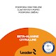 Leader Beta Alanine + Citruline 1:1 200 g