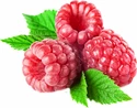 LifeLike Lyofilizované maliny 50&nbsp;g
