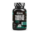 MAXXWIN Tribulus Terrestris 90% 60 kapslí