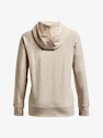 Mikina Under Armour Rival Fleece HB Hoodie-BRN