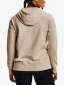 Mikina Under Armour Rival Fleece HB Hoodie-BRN