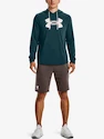 Mikina Under Armour UA Rival Terry Logo Hoodie-GRN