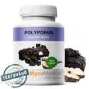 MycoMedica BIO Polyporus PRO 90 kapslí
