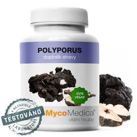 MycoMedica BIO Polyporus PRO 90 kapslí
