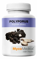 MycoMedica Polyporus 90 kapslí
