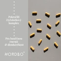 Nordbo NAD+ Synergy 40 caps