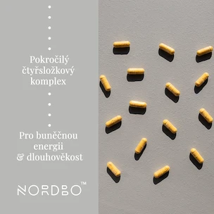 Nordbo NAD+ Synergy 40 caps