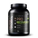 NutriWorks  Pro Recovery 2000 g