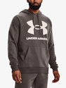 Pánská mikina Under Armour  Rival Fleece Big Logo HD-BRN