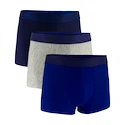 Pánské boxerky Under Armour Perf Tech Solid 3in 3Pack Royal