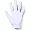 Pánské rukavice Under Armour  Medal Golf Glove grey LLG