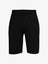 Pánské šortky Under Armour  Raid 2.0 Shorts-BLK
