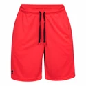 Pánské šortky Under Armour Tech Mesh Short