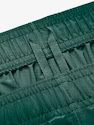Pánské šortky Under Armour  Woven Graphic Shorts-GRN