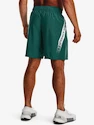 Pánské šortky Under Armour  Woven Graphic Shorts-GRN