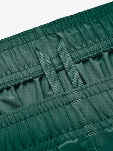 Pánské šortky Under Armour  Woven Graphic Shorts-GRN