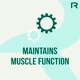 Reflex Nutrition Nexgen 60 kapslí