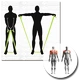 Schildkröt Exercise Band