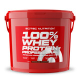 Scitec 100% Whey Protein Professional 5000 g