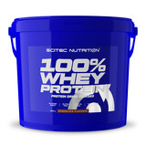 Scitec Nutrition 100% Whey Protein 5000 g