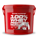 Scitec Nutrition 100% Whey Protein Professional 5000 g banán
