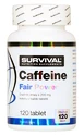 Survival Caffeine Fair Power 120 tablet