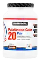 Survival Palatinose Gain 20 1200 g