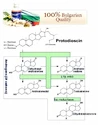 VemoHerb Tribulus Terrestris MAXX 60 kapslí