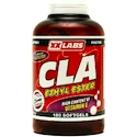 Xxlabs CLA Ethyl Ester 180 kapslí